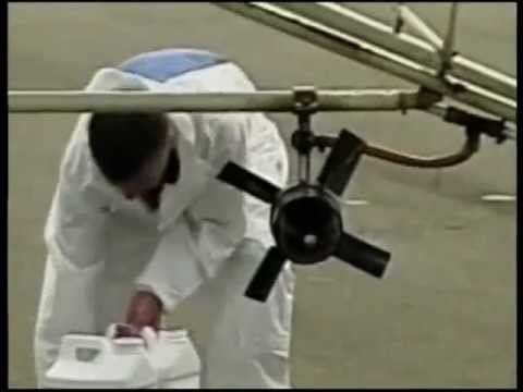 თეთრი პეპლები