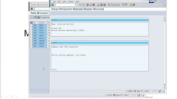 MMPV MM posting Period