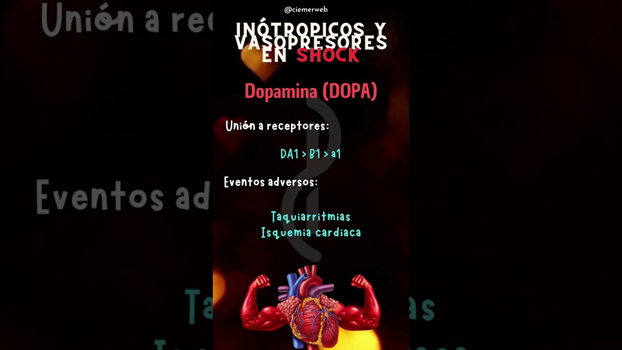 🫀 Inotrópicos y Vasopresores en Estados de Choque 💉 #DOPAMINA #CIEMER #FOAMed