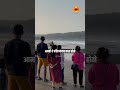 Where to see Turtle Festival | Konkan Tourism | Olive Ridley Turtle Conservation | Sukirtg #ytshorts