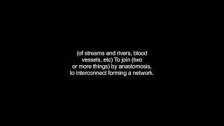 anastomosing video Dictionary meaning and pronunciation