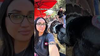 What an experience!! Have you ever been to a pig farm? #pigfarm #farm #turkey #firsttime