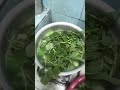 cooking bayam #cooking #kegiatanmemasak #funcooking #shortvideo #trending #food #masak
