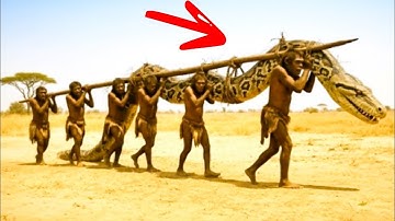Life Jungle Patrol | Rescue Team Fights Off Giant Python to Free Trapped Leopard Cub
