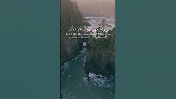تلاوة من سورة النحل  #quran