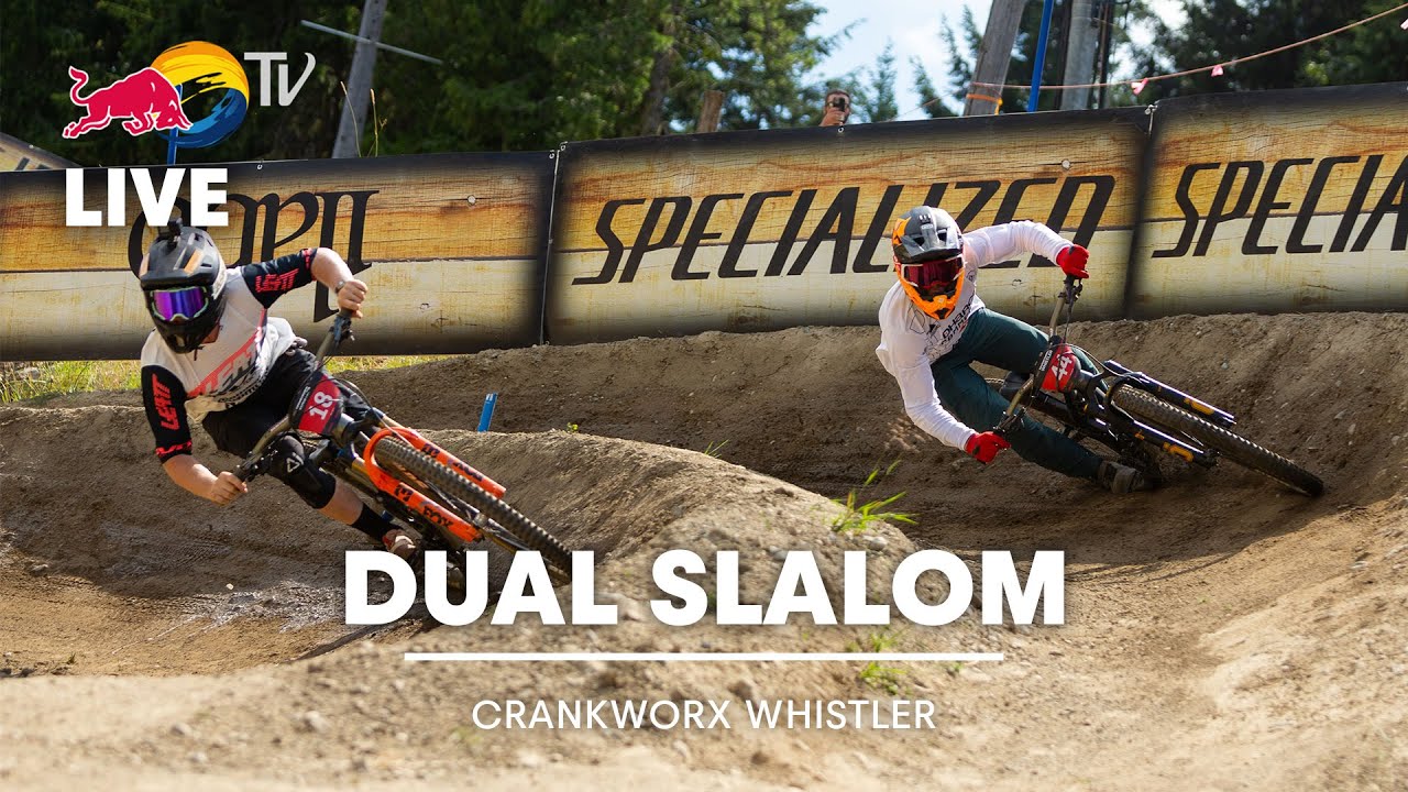 Dual Slalom Mountain Bike