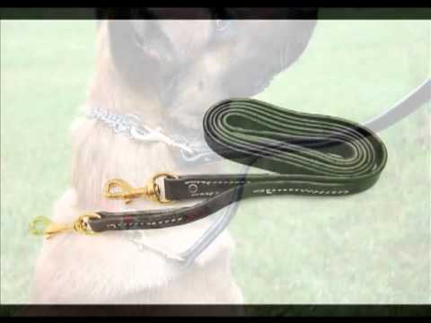 puppy paradise Leerburg's Prong Collar Leash