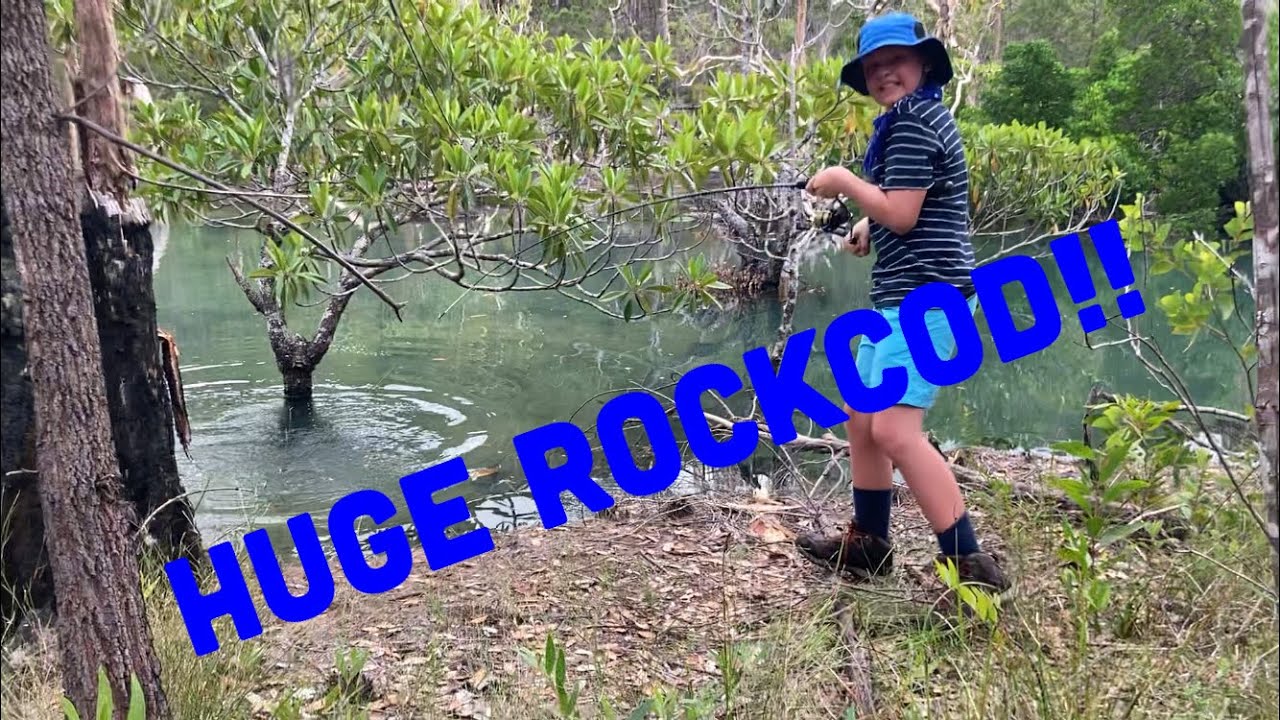 HUGE Black Spot Rockcod 60cm+ caught by my 10yr old son FNQ Fishing!!