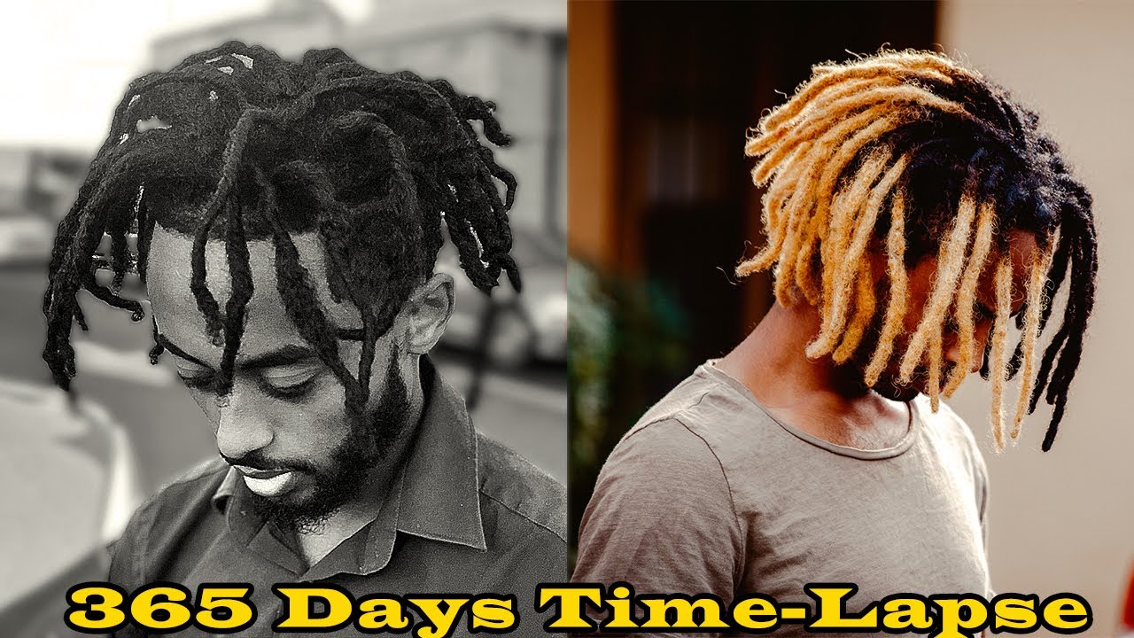 1 Year High Top Dread Growth Timelapse