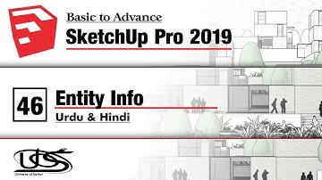Sketchup for Beginners | Entity Info in Sketchup Pro | Sketchup in Urdu & Hindi Basic Course