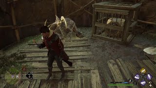 Hogwarts Legacy blocked cube cage solution near MarunWeem Lake
