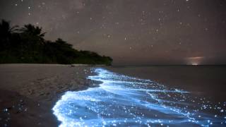 Download Lagu Dr K \u0026 Nii Vs.Shiha Ft. Sarah Blacker - Am Alive (Martin Roth 'Home Is Where We Belong' Remix) MP3