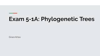 GN311 Exam Video 5-1A