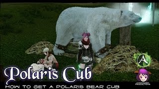 ArcheAge - How to get a Polaris Bear Cub screenshot 3