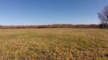 Skyhunter / eagle tree Vector