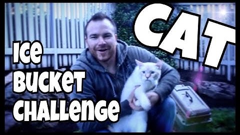 The ALS Cat Ice Bucket Challenge