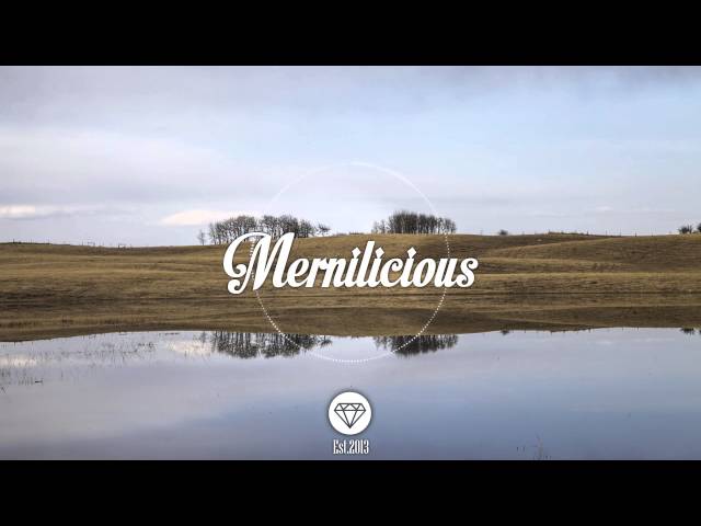 Misterwives - Reflections (Gryffin Remix) class=