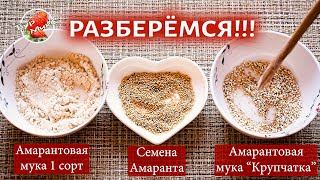 Не покупайте АМАРАНТ, пока не посмотрите это видео / Амарантовые блины / Amaranth pancakes