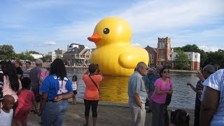 Giant Rubber Duck!