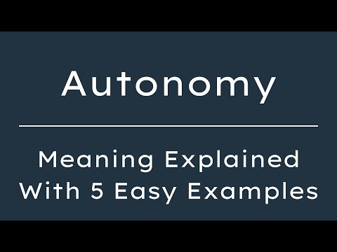 Autonomous Meaning Simple