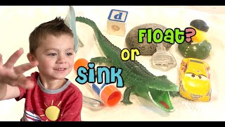 Playing Sink or Float with TOYS!!! | Silly Learning