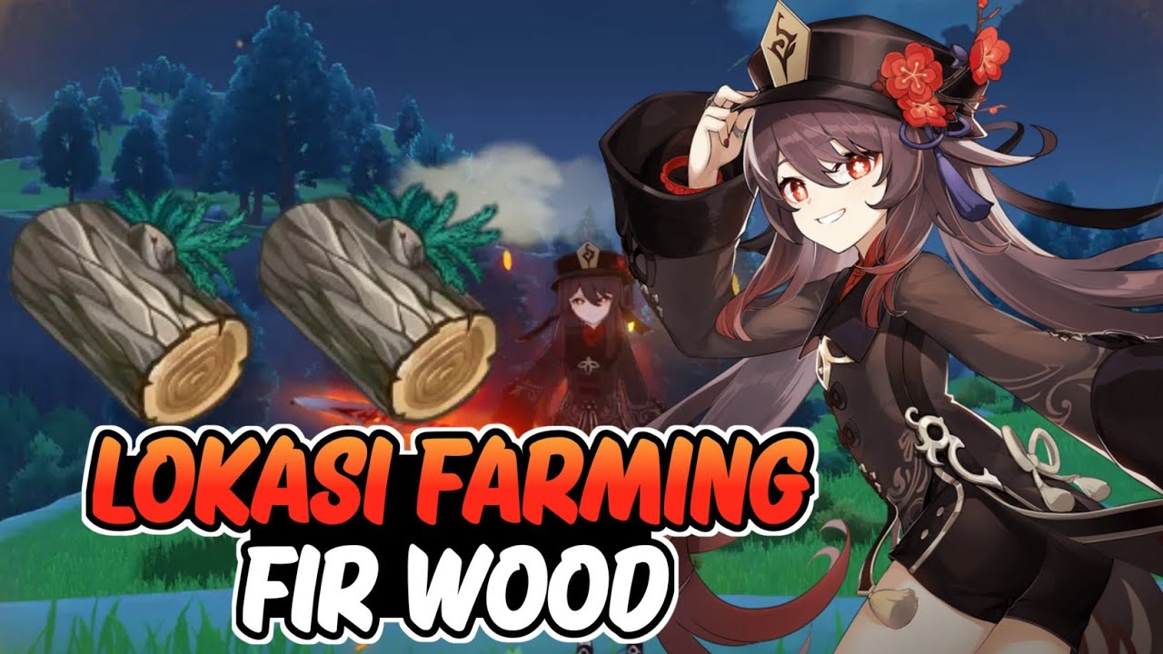 LOKASI FARMING FIR WOOD GENSHIN IMPACT INDONESIA YouTube