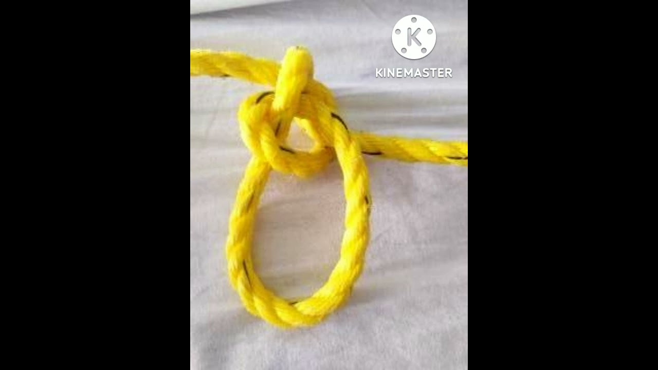 BSF WATER WING TRADE TEST IN IMPORTANT VIDEO 99%