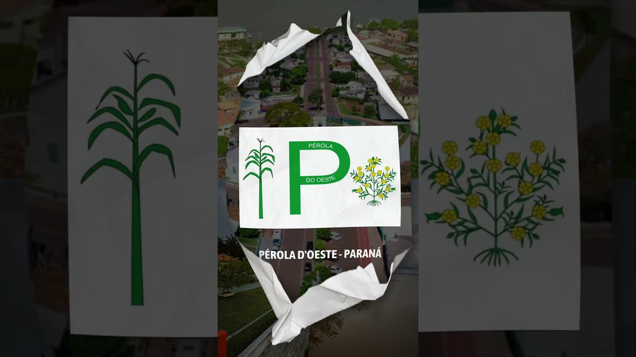 As bandeiras mais bizarras de municípios #geografia #geografiadobrasil #bandeira #curiosidades