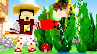 Minecraft: PLANTADO NA ILHA  EGG SKY WARS ‹ AMENIC ›