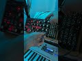 Moog subharmonicon has entered the chat polyrhythms shorts synthesizer jam