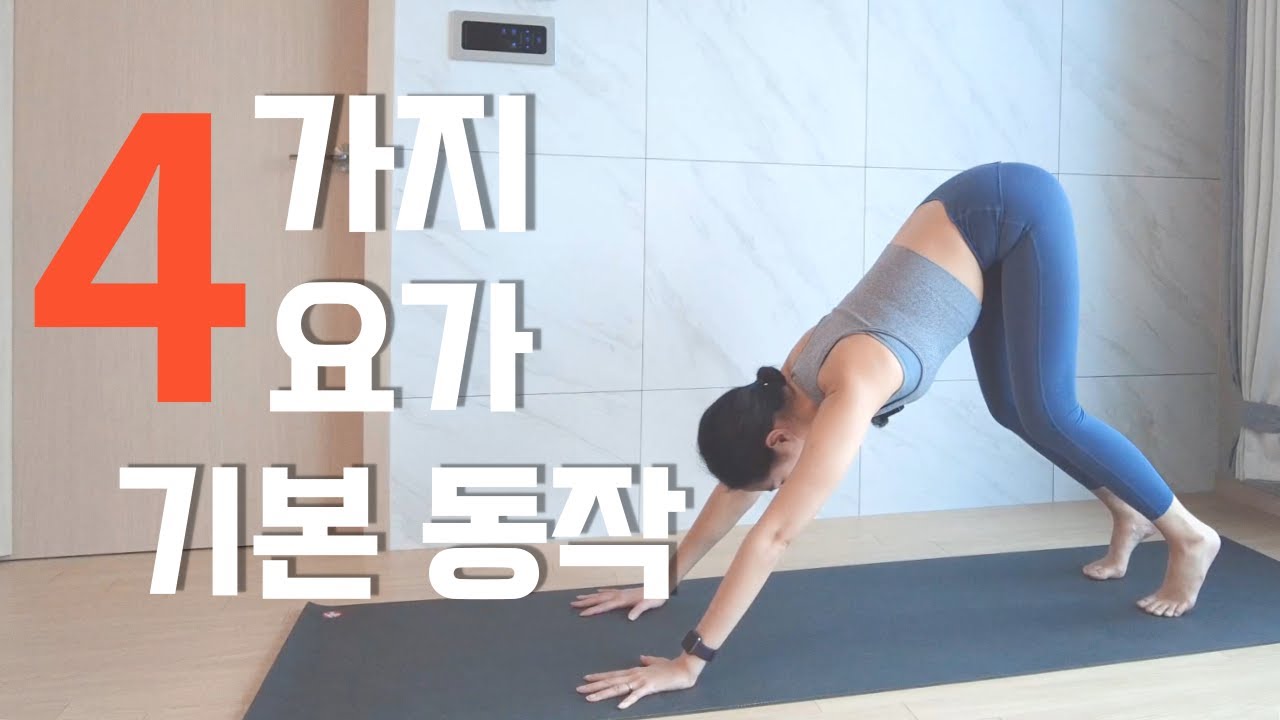 요가 기본 동작, 필수 자세 4가지｜다운덕, 플랭크, 차투랑가, 코브라｜7분 기초탄탄 요가