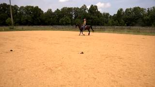 WP 20140709 002