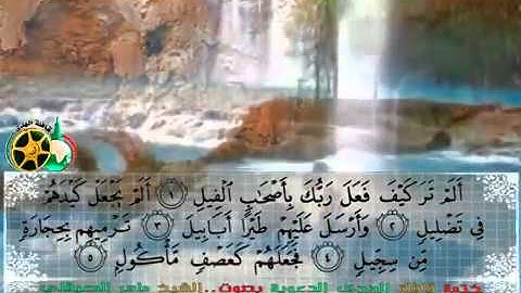 تلاوة لا توصف  للشيخ ماهر المعيقلي سورة الفيل  maher maa'ikly surah al fil