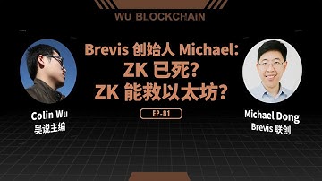 EP-81 Brevis 创始人 Michael：ZK 已死？ZK 能救以太坊？