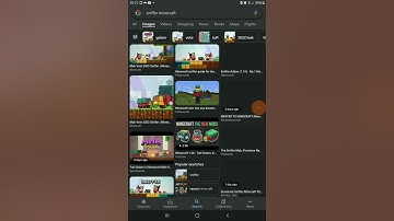 why you should vote for the rascal