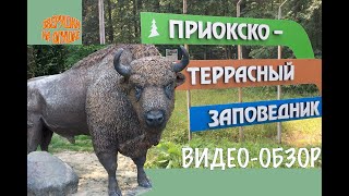 Заповедник Приокско -Террасный (От Зверушки На Опушке)