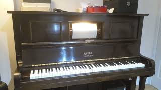 Yes we have no Bananas Steck pianola