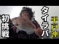 ルアーで鯛を釣る！タイラバ初挑戦！！＃１