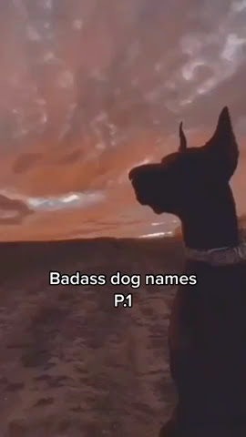 Badass Dog Names #Shorts