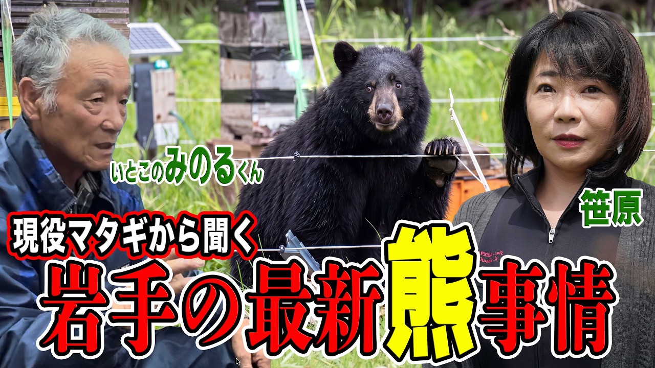【驚愕】マタギに聞く岩手の最新熊事情【岩手県】