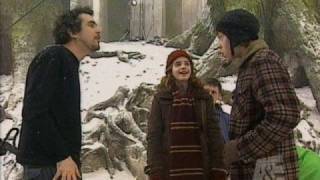 Celebrity Harry Potter Cast - Friends Forever Net Worth