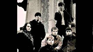 In The Forest- The Coral