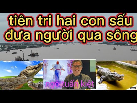 Video Phật và chúa trời đã tiên tri hai con sấu đưa người... - youtube