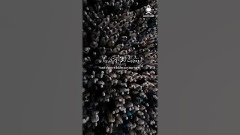 سورة المائدة بصوت الشيخ علي جابر رحمه الله