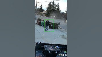 Man narrowly dodges out-of-control car while checking mail