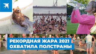 Рекордная жара 2021 охватила полстраны