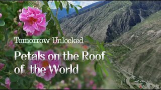 How plateau roses are empowering minority women in China