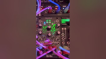 Ping! Some more QU-Bit Nautilus workouts!