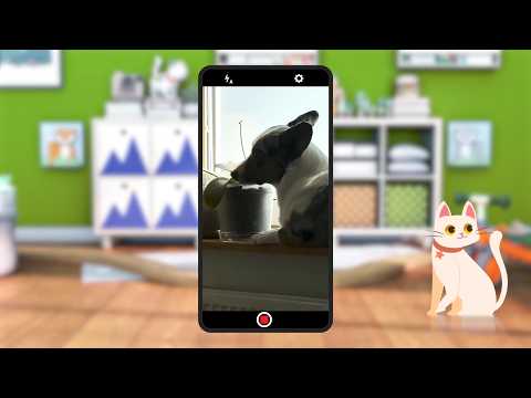 ☀️С добрым утром, малыши! Забавные собаки - Только посмотри!