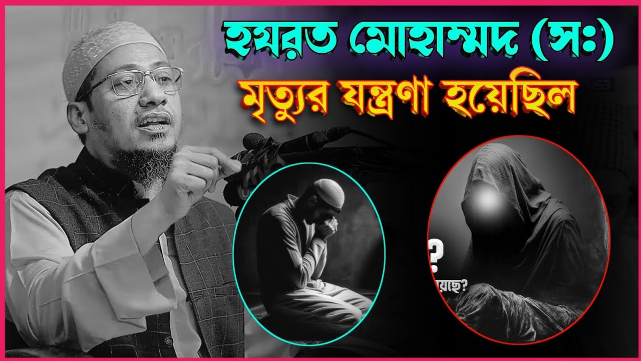 হযরত মুহাম্মদ (স:) এরও মৃত্যুর যন্ত্রণা হয়েছিল 💔😭 কান্নায় ভেঙে পড়লেন হুজুর | Anisur Rahman Ashrafi 